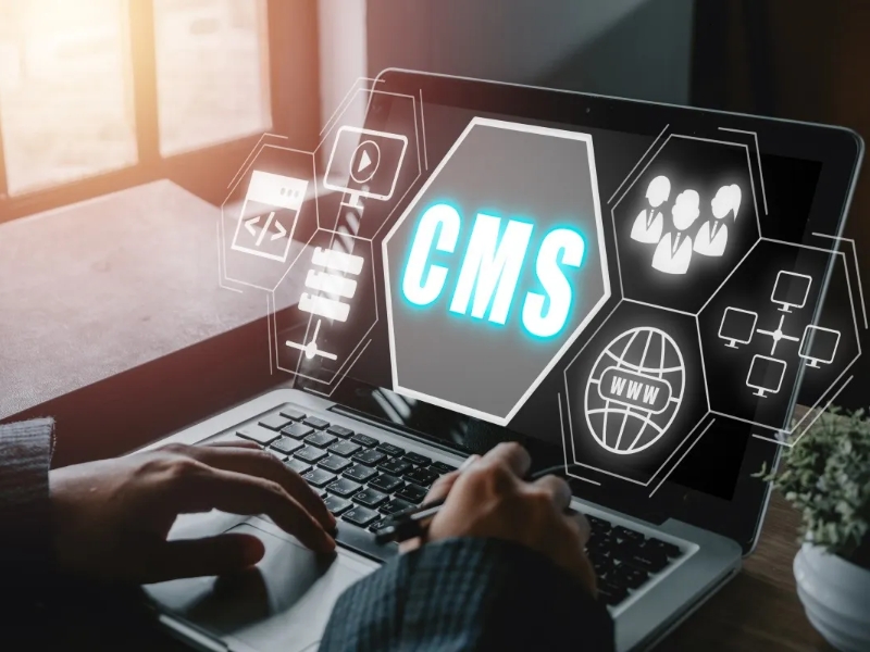 Ingénierie Web & Écosystèmes CMS